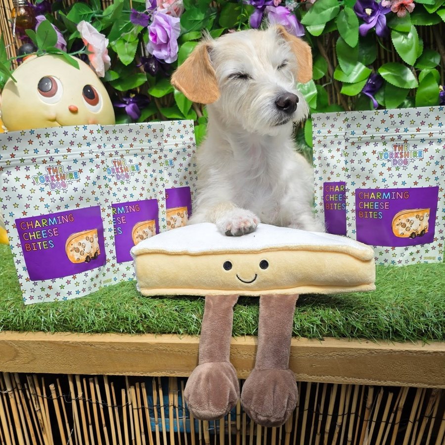 Instagram post by @bea_russell2021 for Happy Tails Hampers. Caption reads: [...] BEARUSSELL 

Cheese toy from....