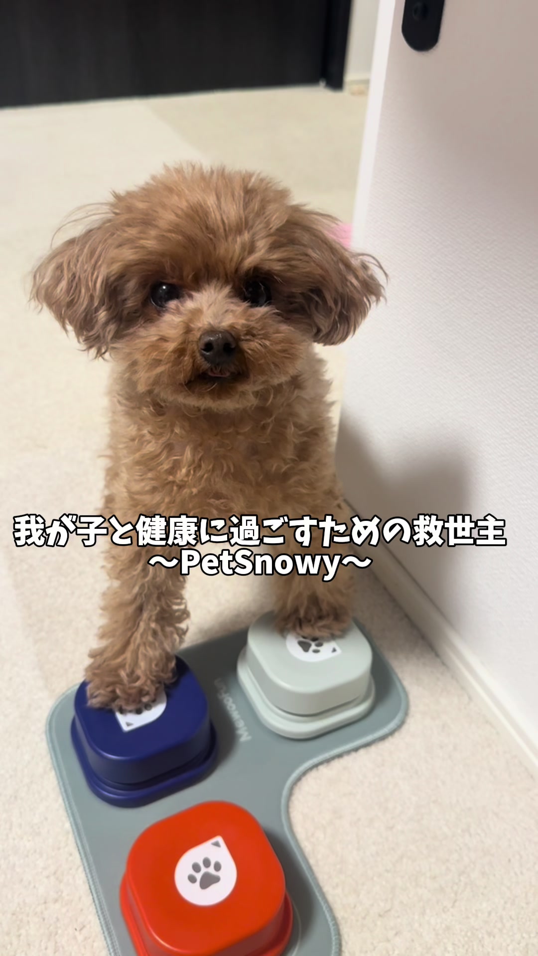 TikTok post by @mugi_to_kurumi for PetSnowy. Caption reads: [...] 我が家に仲間入りしたのが Petsnow ペット空気清浄機 🫧....