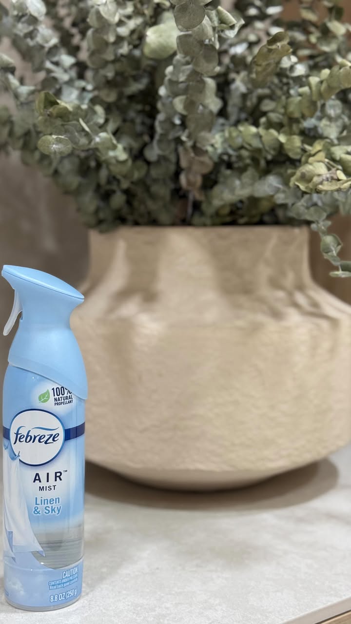 Instagram post by @panamaclosets for Febreze. Caption reads: La lavandería es un espacio bastante transitado en....