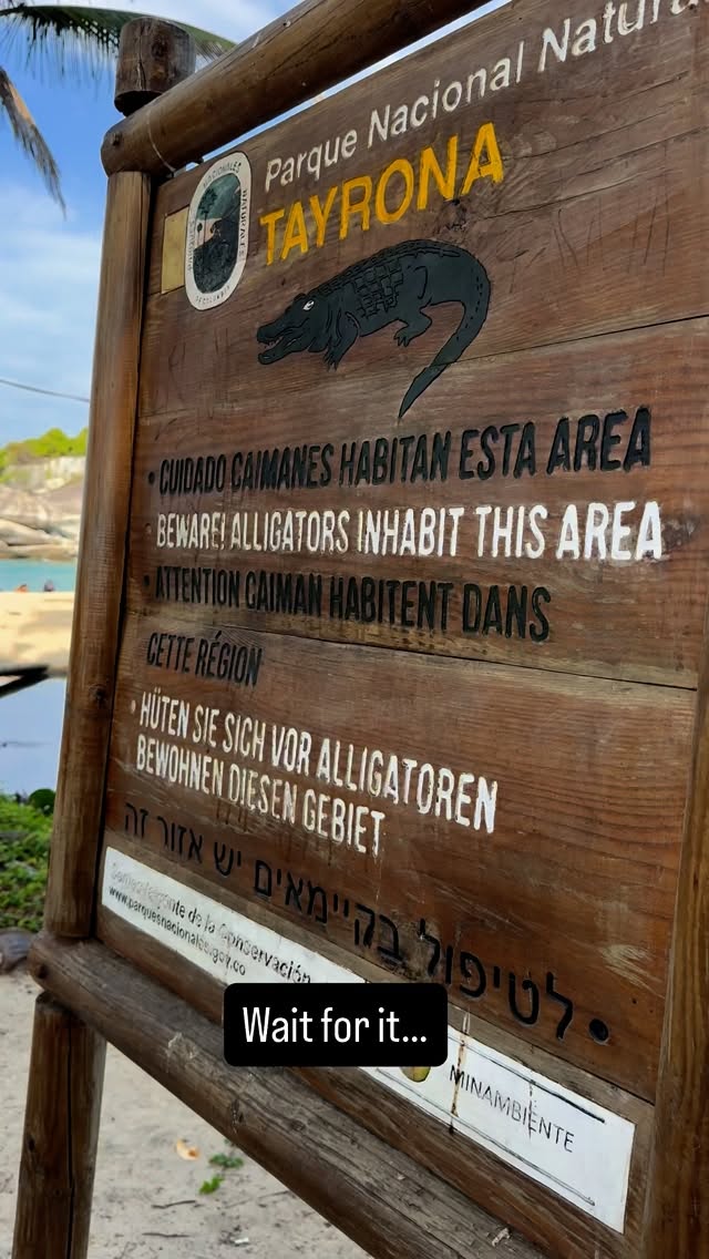 Instagram post by @devinbelliston for Shady Rays. Caption reads: Finally a crocodile by a sign that says there are....