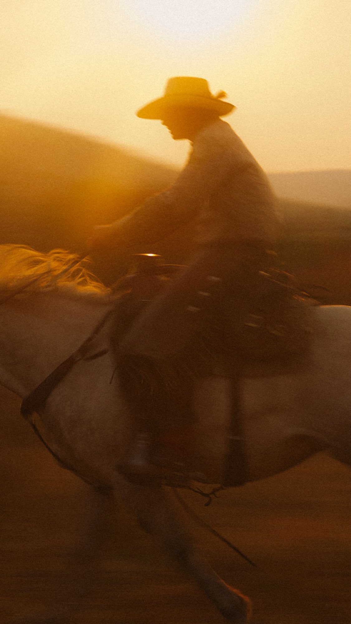 Instagram post by @alexstrohl for Lexar. Caption reads: We went to check on some cows, the cows were....