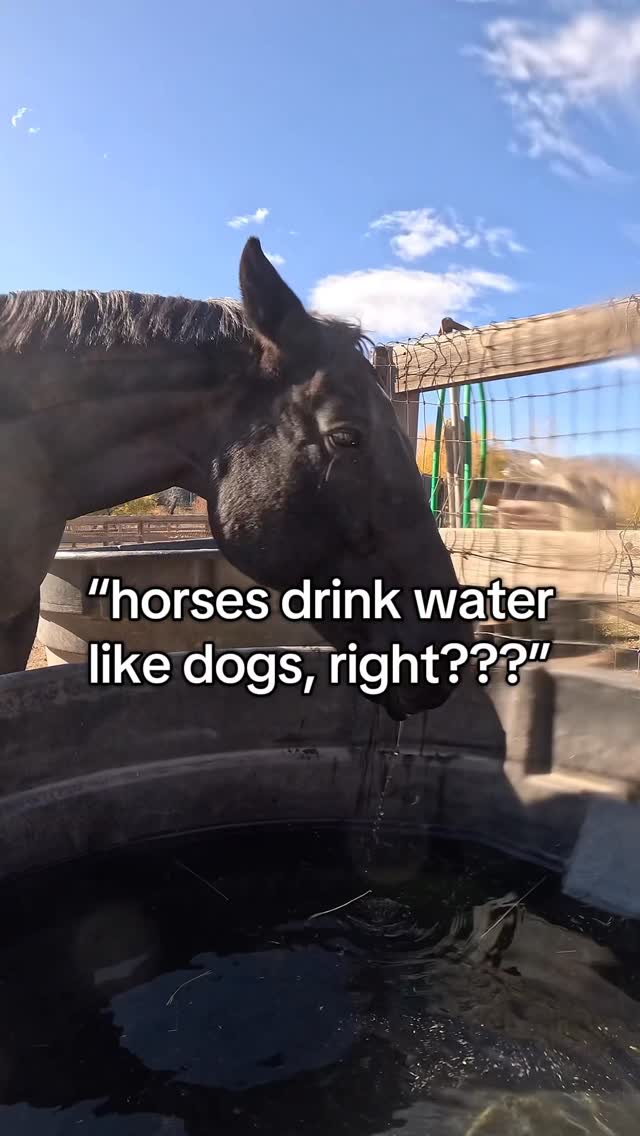 Instagram post by @todaywithgus for GoPro. Caption reads: okay @gopro, I see you.

I decided to record some....