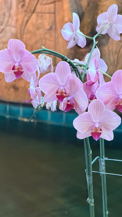 Instagram post by @bigfatjenna for Beauty Bay. Caption reads: AD messy makeup is back 🕷️ and my @beautybay dark....