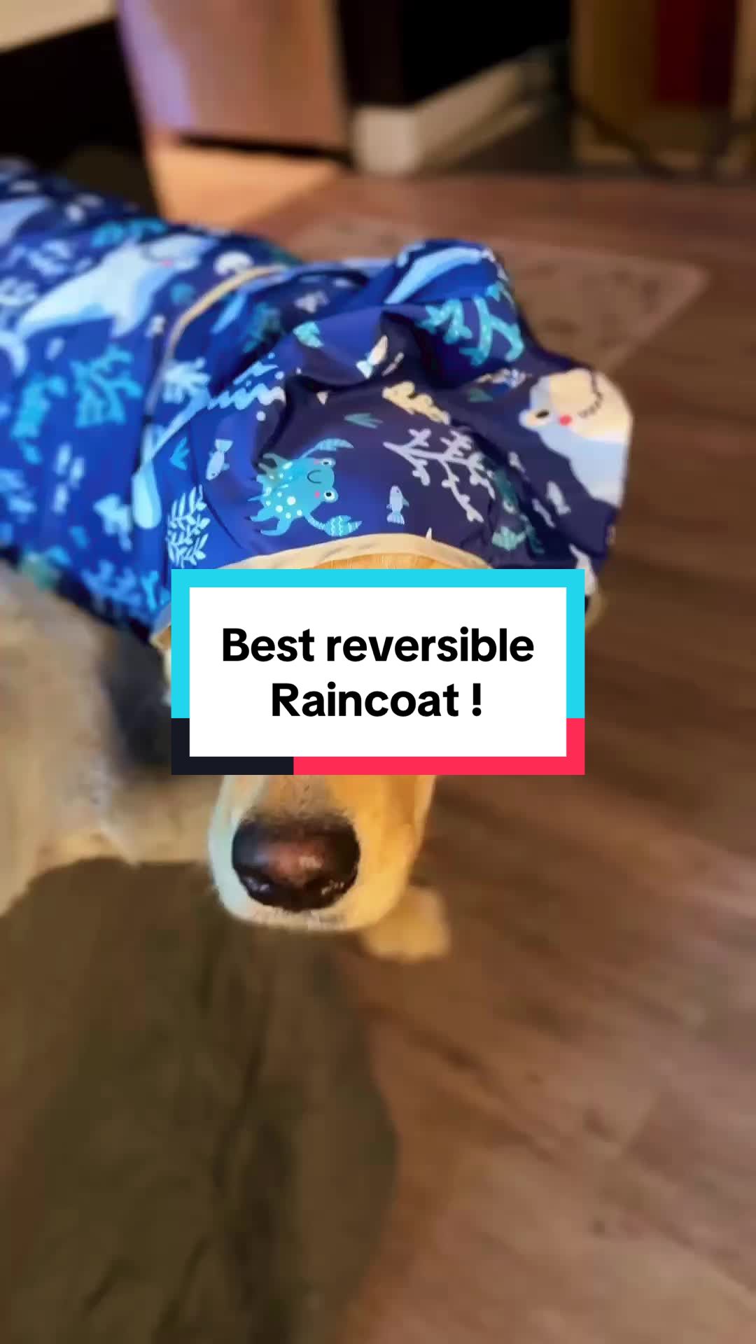 TikTok post by @darcy.world for ShopHDE. Caption reads: [...] for rainy walks, cuddles, anything! 💙....