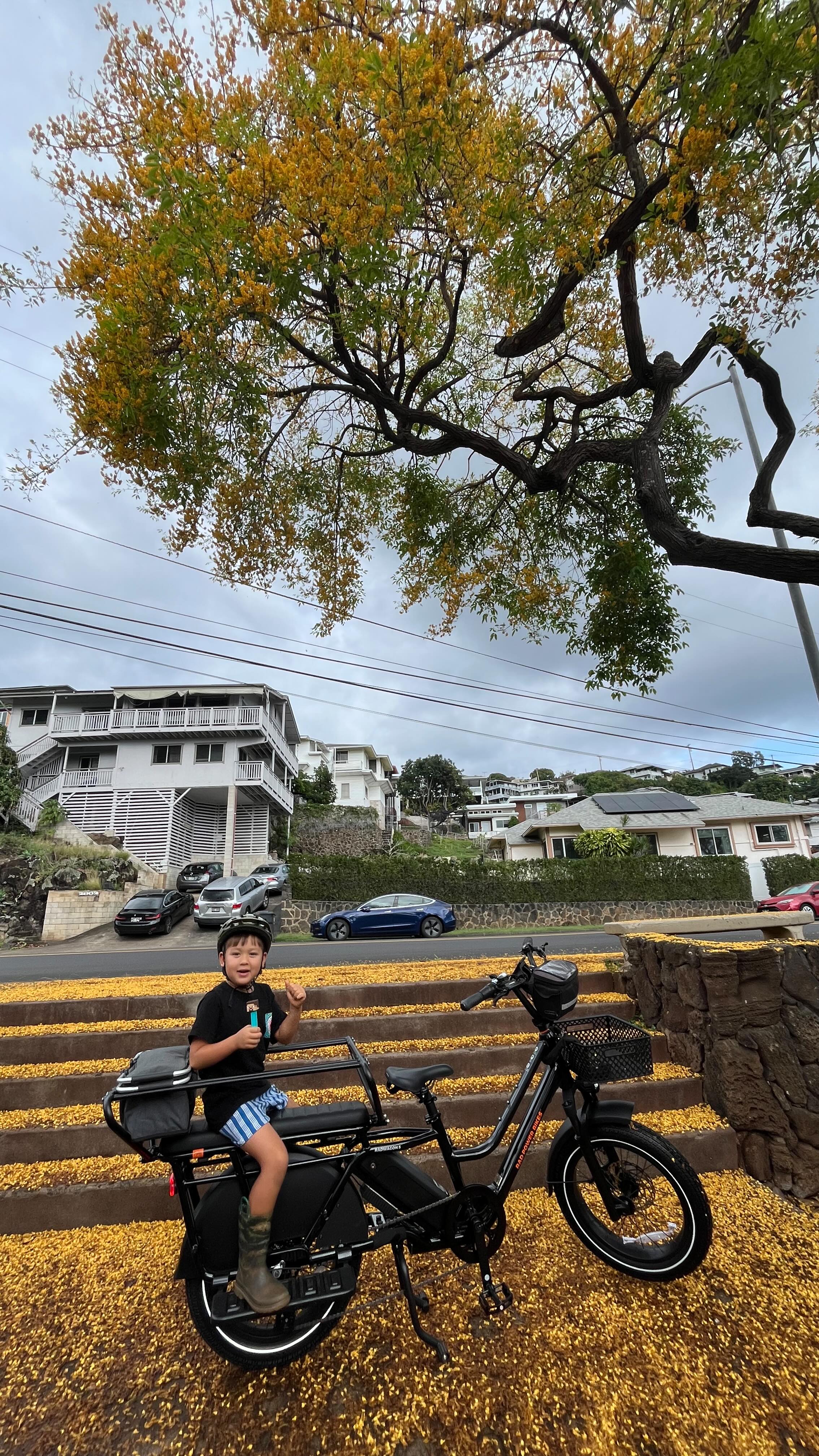 Instagram post by @ebikeshawaii for Rad Power Bikes. Caption reads: We finally leveled up to a cargo eBike and wow…....