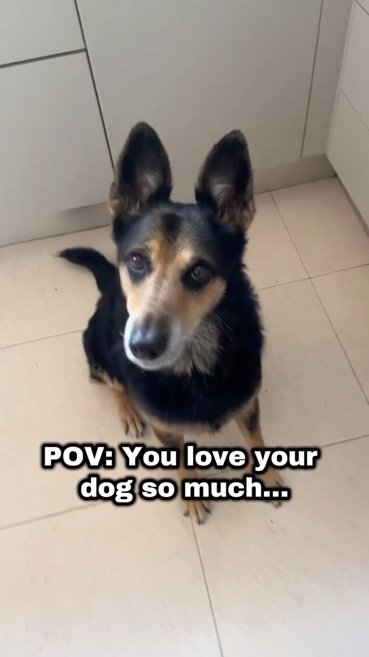 Instagram post by @nusanguino for Wattpad. Caption reads: MUSE, STAR, MAIN CHARACTER… Love 4 a Walk is....