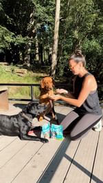 Instagram post by @akirwan_ for Burns Pet Food. Caption reads: This summer, get out there and create gorgeous....