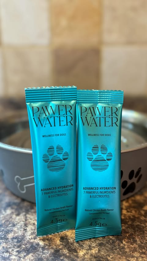 Instagram post by @petadventureswithlauren for Pawer Water. Caption reads: [...] ✨ Give your pup a daily boost with Pawer....