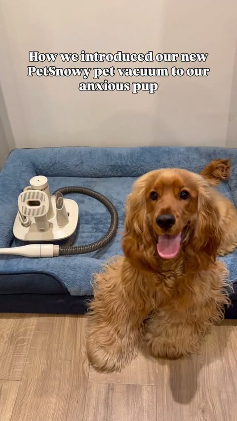 Instagram post by @cliffyunleashed for PetSnowy. Caption reads: The PetSnowy Pet Vacuum is such a game changer for....
