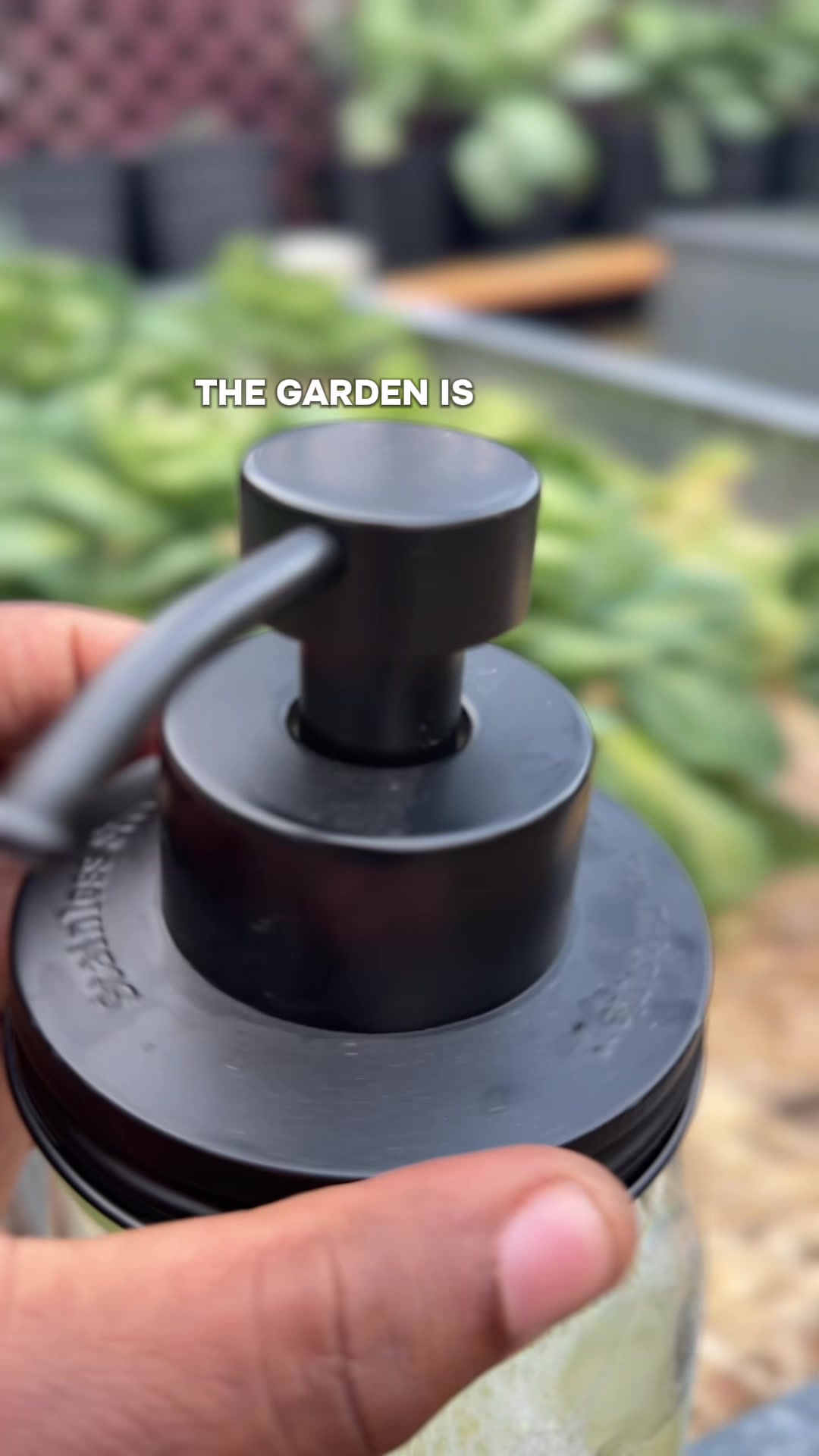 TikTok post by @theporchpotager for Mason Jar Lifestyle. Caption reads: @Mason Jar Lifestyle has done it again with this....