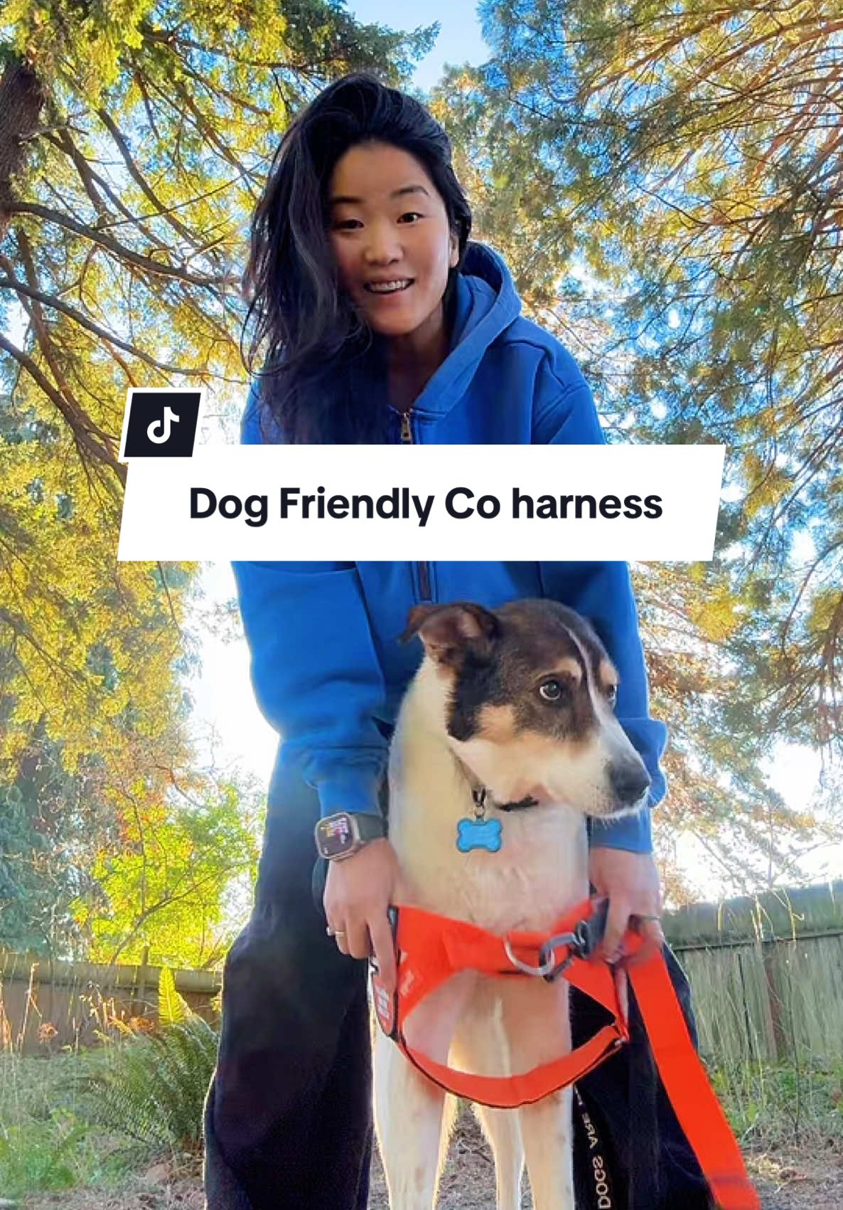 TikTok post by @michellepearlpnw for Dog Friendly Co. Caption reads: @Dog Friendly Co. I keep getting asked where I got....