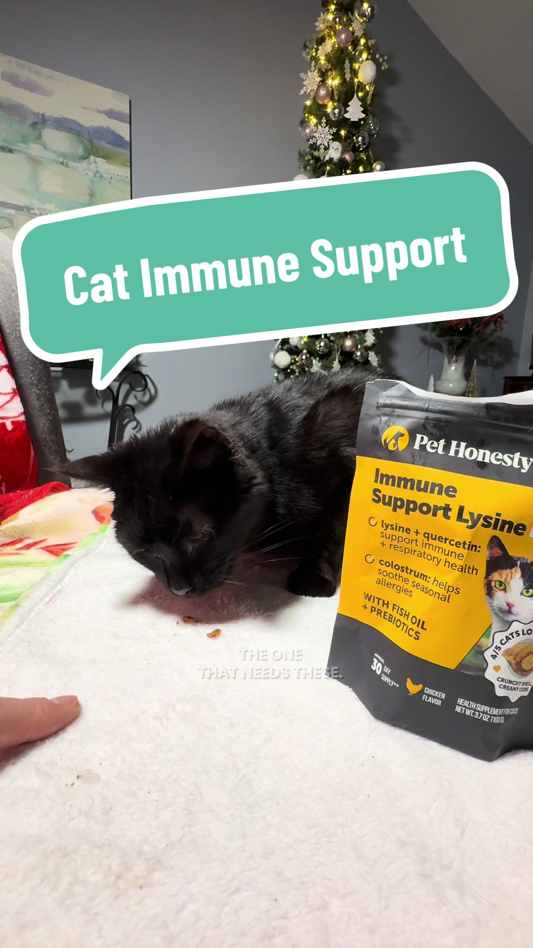 TikTok post by @ariesapproved for PetHonesty. Caption reads: [...] vet for your cat’s individual needs.)....