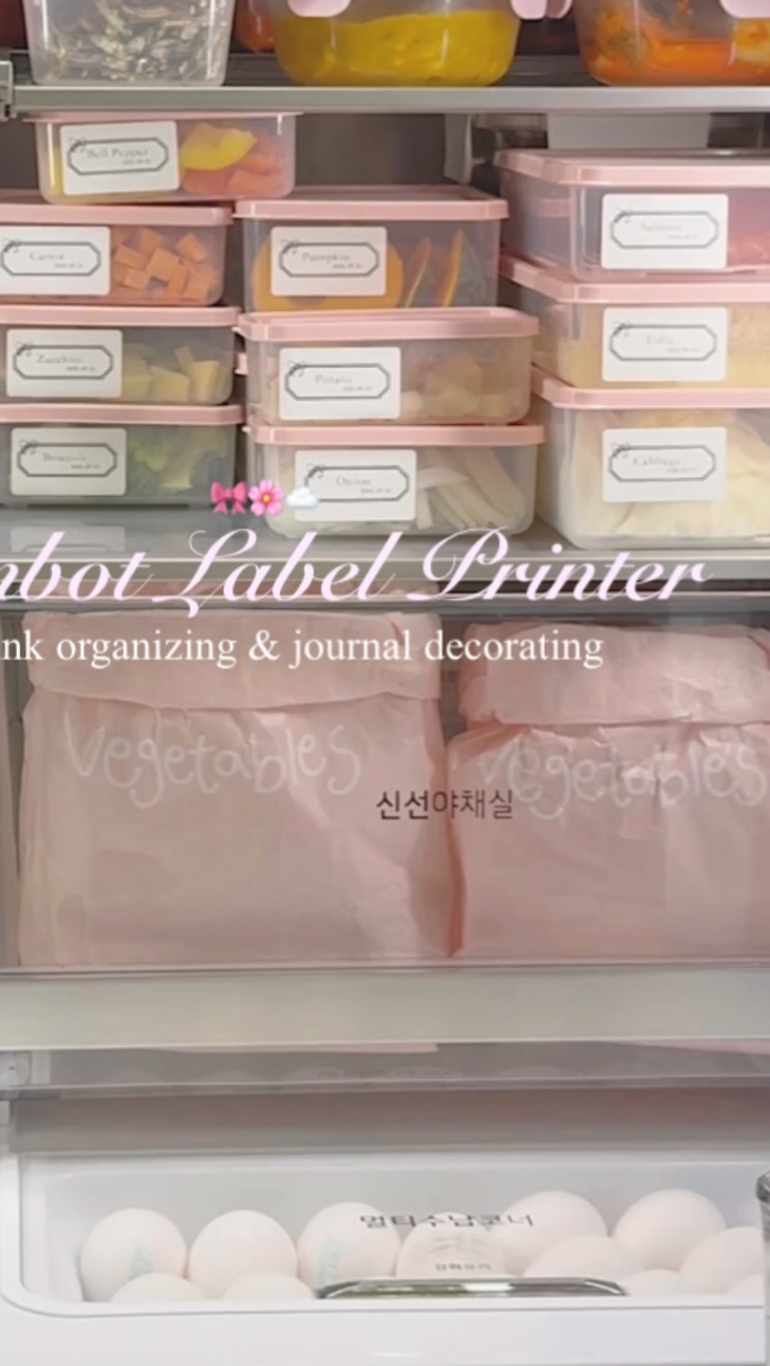 Instagram post by @vivienne__belle for NIIMBOT. Caption reads: [...] organizing & journal decorating 
오늘은 niimbot....