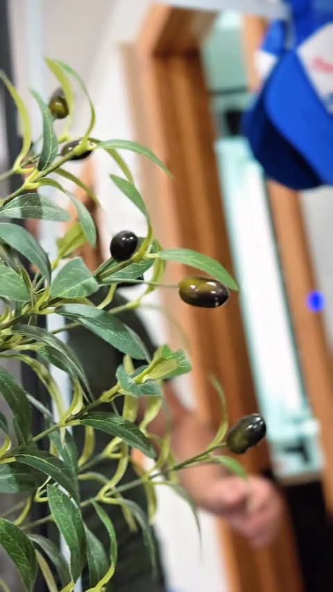 Instagram post by @iamdenizmirik for Plexaderm. Caption reads: #ad My PM routine, simplified 
Plexaderm Night....