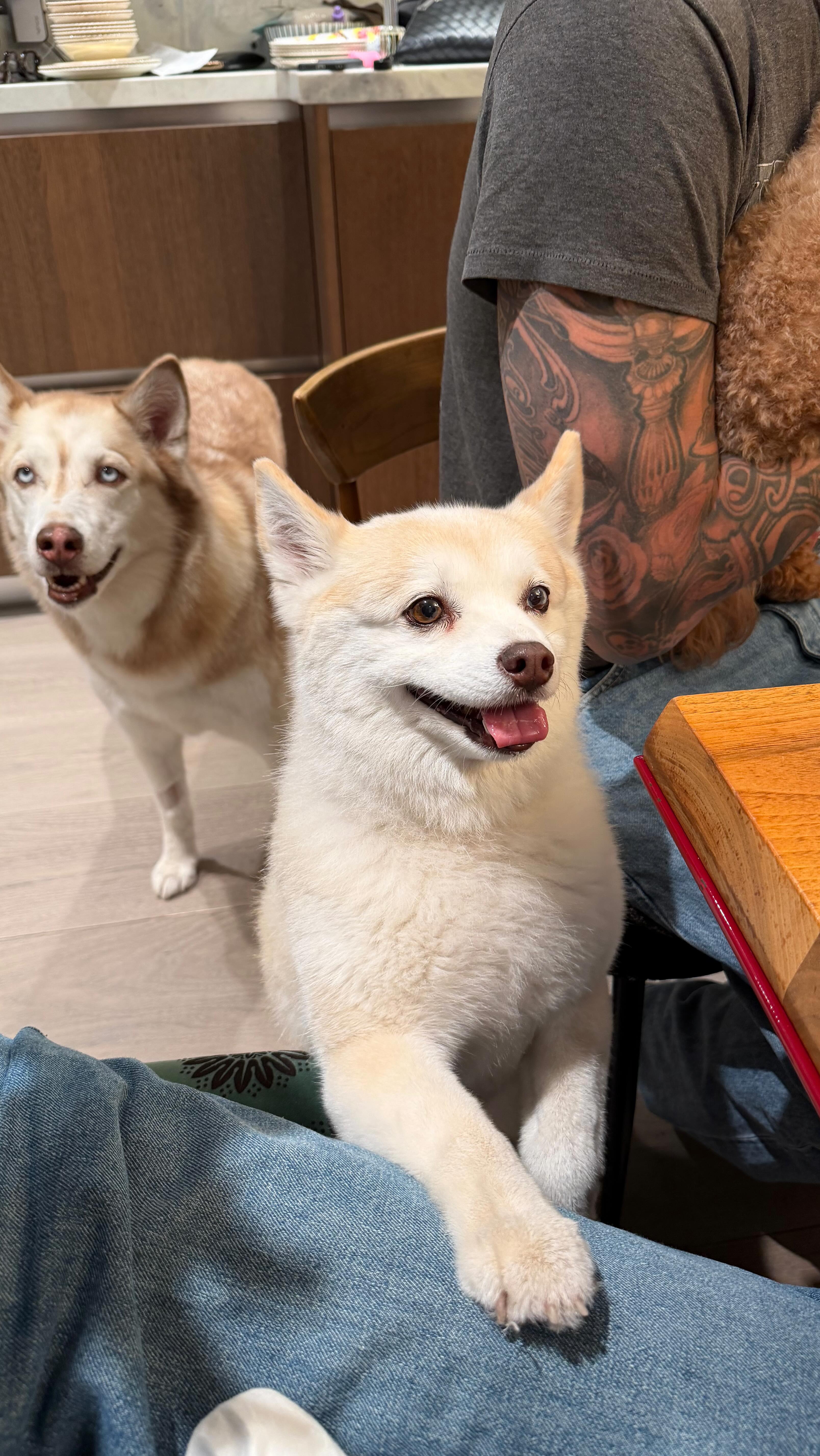 Instagram post by @sydneezora for Pureology. Caption reads: DIY ‘ing my dream hair look with a string of....