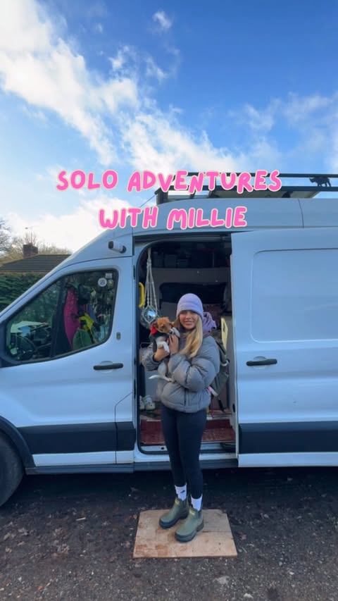 Instagram post by @heidijoannee for Reolink. Caption reads: Coming out the other side of burnout feels amazing....