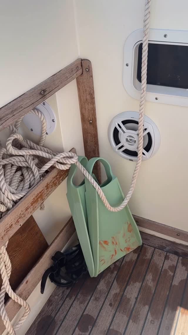 Instagram post by @ellamiller for COOLA. Caption reads: [...] long days in the sun i always pack my @coola....