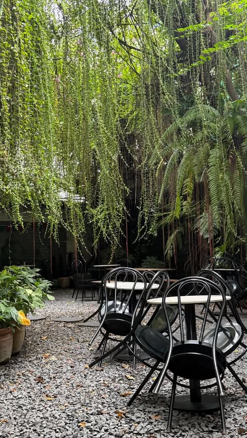 Instagram post by @samjsalvador for Magic Mind. Caption reads: [...] through my to-do list and that’s where....