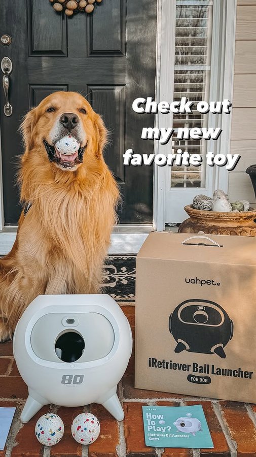 Instagram post by @agoldennamedgibby for Uahpet. Caption reads: When ya hear the beep beep you back up.😉
Meet da....