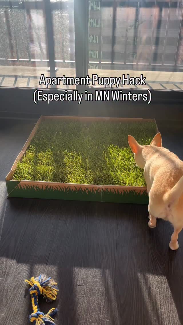 Instagram post by @erniethewawa for freshpatch. Caption reads: [...] easy, and no freezing trips outside.....