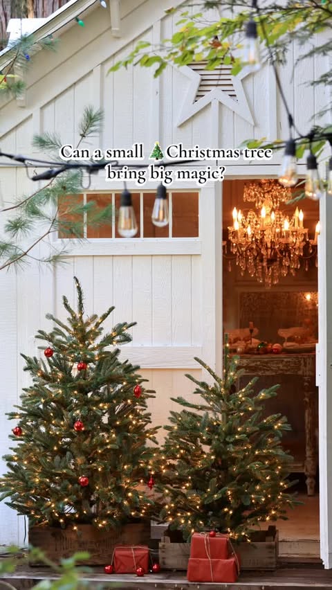 Instagram post by @frenchcountrycottage for Balsam Hill. Caption reads: Can a wee Christmas tree bring big Christmas....