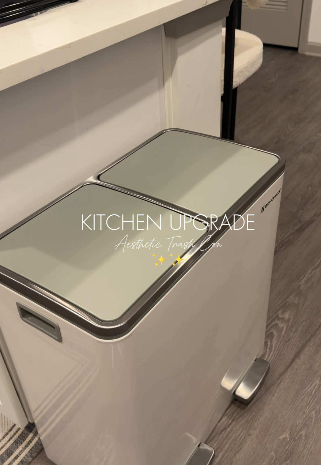 TikTok post by @lizstylez_ for Songmics. Caption reads: [...] #homeupgrade #homefinds @SONGMICS HOME.