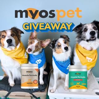 Instagram post by @thejoycrew for MYOS Pet. Caption reads: 🧡 🎉 IT’S GIVEAWAY TIME! 🎉 🧡

A MYOS giveaway,....