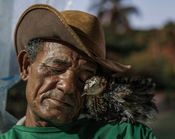 Instagram post by @mairaerlich for National Geographic. Caption reads: In this photo from our Pictures of the Year 2025,....