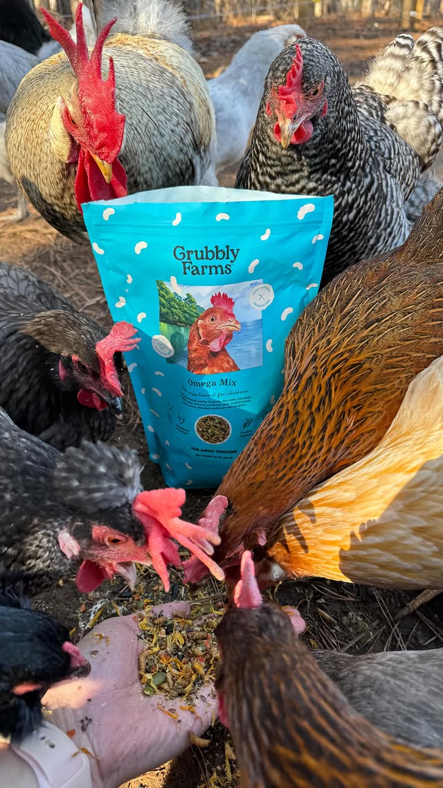 Instagram post by @ourforevertnfarmhouse for Grubbly Farms. Caption reads: [...] I give them nothing but the best. Grubbly....