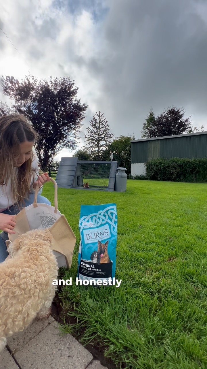 Instagram post by @sophie_bell__ for Burns Pet Food. Caption reads: Sunny days, happy dogs, and bowls full of goodness....