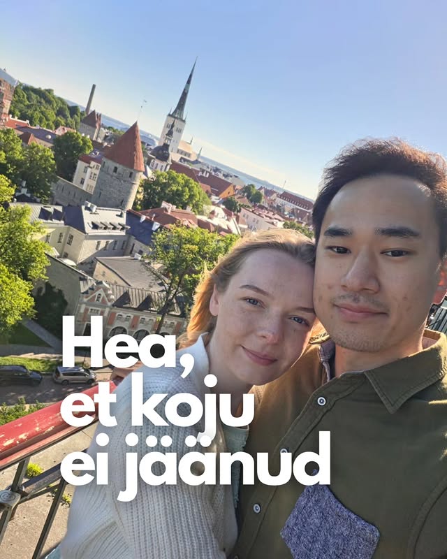 Instagram post by @koikefami1y for Bolt. Caption reads: [...] ➡️ for a glimpse of our journey so far.....