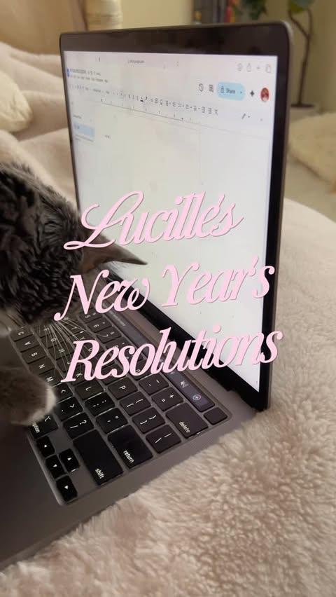 Instagram post by @lucilletherescuecat for NaturVet. Caption reads: [...] her Hairball Help! supplements from....