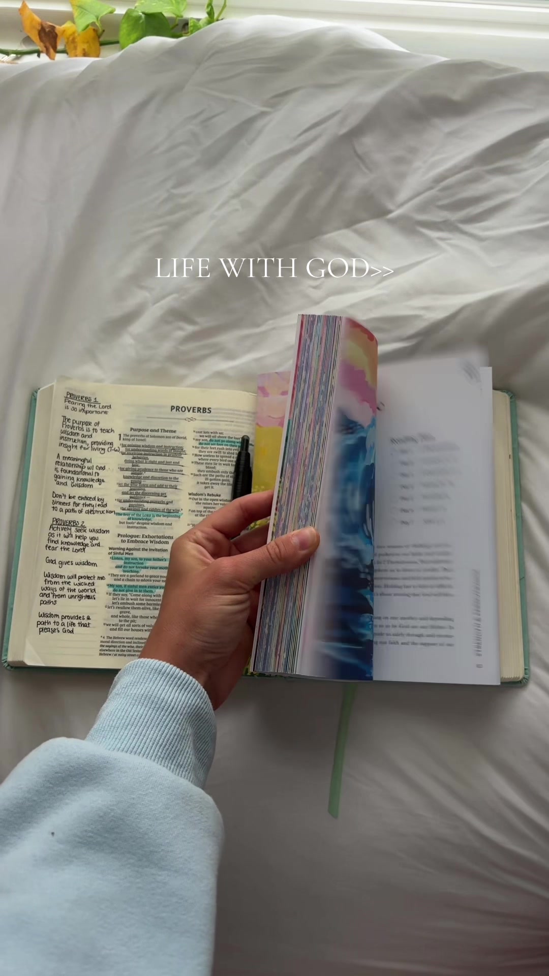 TikTok post by @hannahheanssler for Alabaster Co. Caption reads: i could not be more grateful to live a life guided....