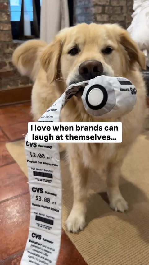 Instagram post by @goldenboy.brooks for BarkBox. Caption reads: [...] #goldenretrieverlife #dogstagram....