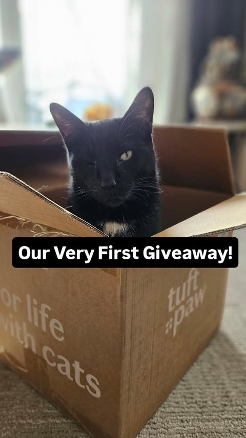Instagram post by @evaandalexfoster for Tuftandpaw. Caption reads: [...] sent some Really Great Cat Litter by....