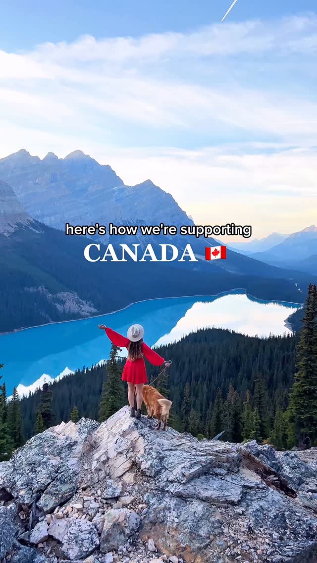 Instagram post by @goldenmase for Pet Valu. Caption reads: [...] local trails to trusted pet care at @petvalu....