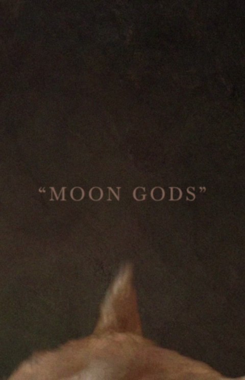Instagram post by @denvertakespics for OpenSea. Caption reads: [...] introducing my first NFT “Moon Gods” on....