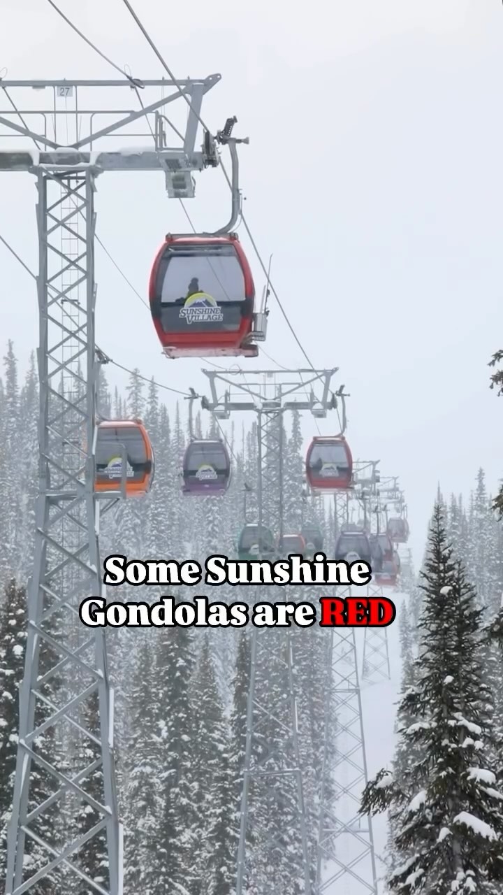 Instagram post by @kendrasonia for Halfdays. Caption reads: [...] #banff #banffsunshinevillage #shredssv....