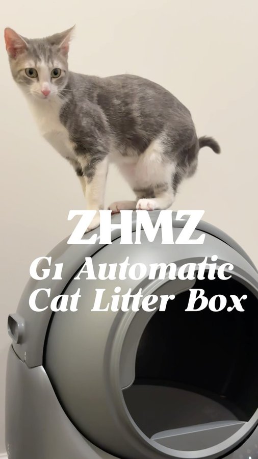 Instagram post by @ceylinvibes_ for Amazon Pets. Caption reads: Say goodbye to messy litter boxes! 🐾✨ The G1....
