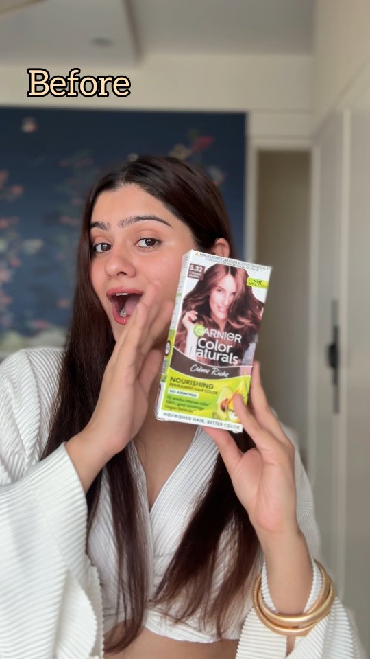 Instagram post by @thatdelhiigirl for Garnier India. Caption reads: #Ad Go brown with Garnier Color Naturals and Slay....