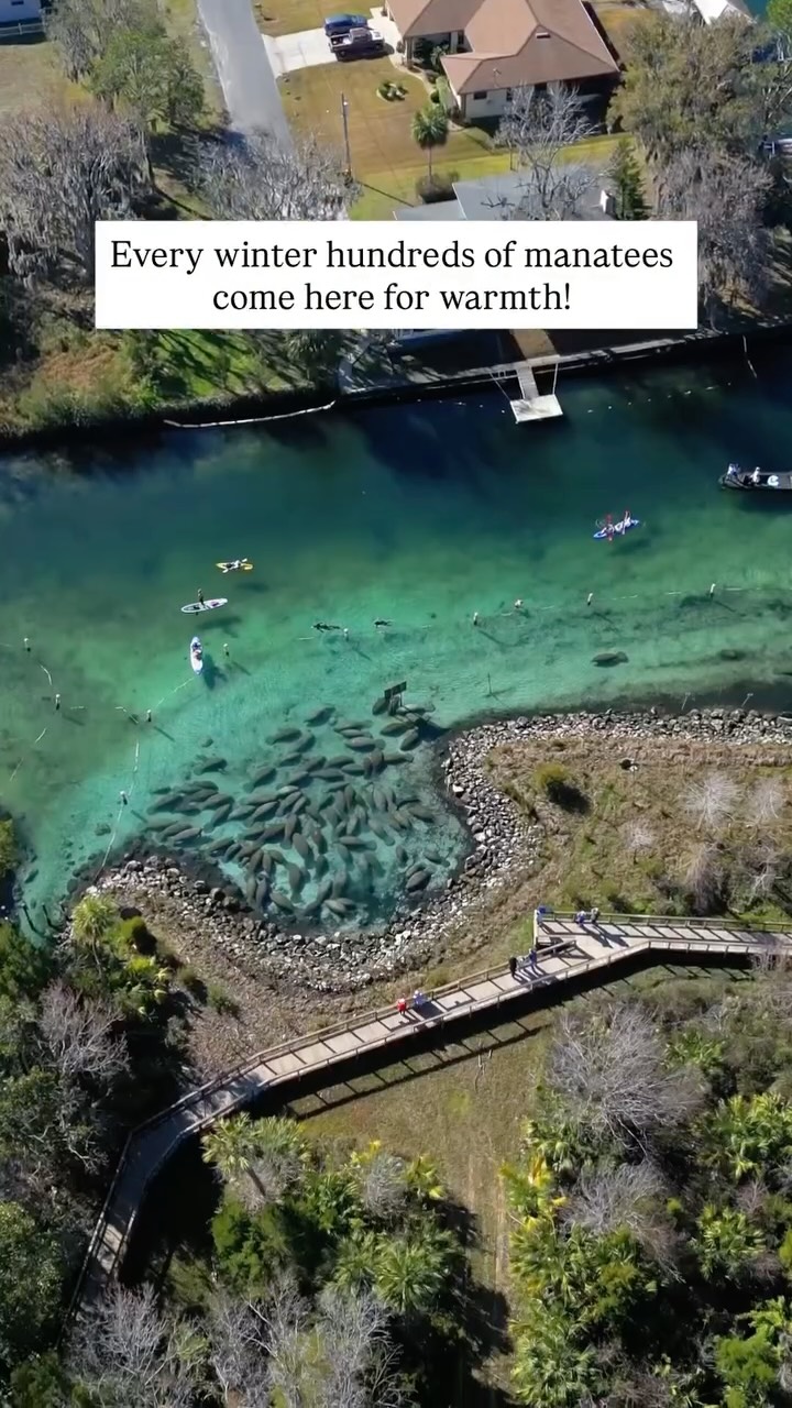 Instagram post by @travelwith.dna for Visit The USA. Caption reads: Send to someone who NEEDS to go this....