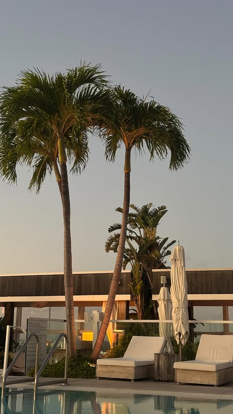 Instagram post by @alicejoythomas for Alo Moves. Caption reads: Staying consistent on the go ✈️ The....