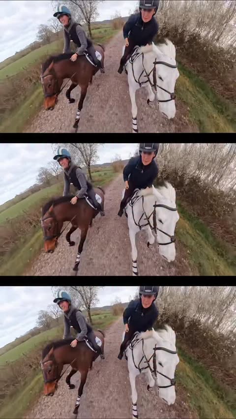 Instagram post by @elphick.event.ponies for Insta360. Caption reads: [...] actually shift 😂 This is shot on my....