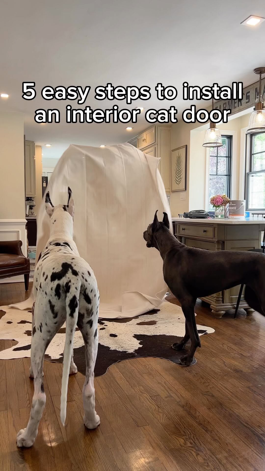 Instagram post by @lovemargot.co for Petsafe. Caption reads: Watch me install the @petsafe cat corridor door....
