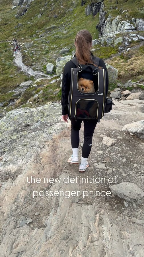 Instagram post by @derminicooper for Pecute. Caption reads: [...] many have asked, the backpack is from....