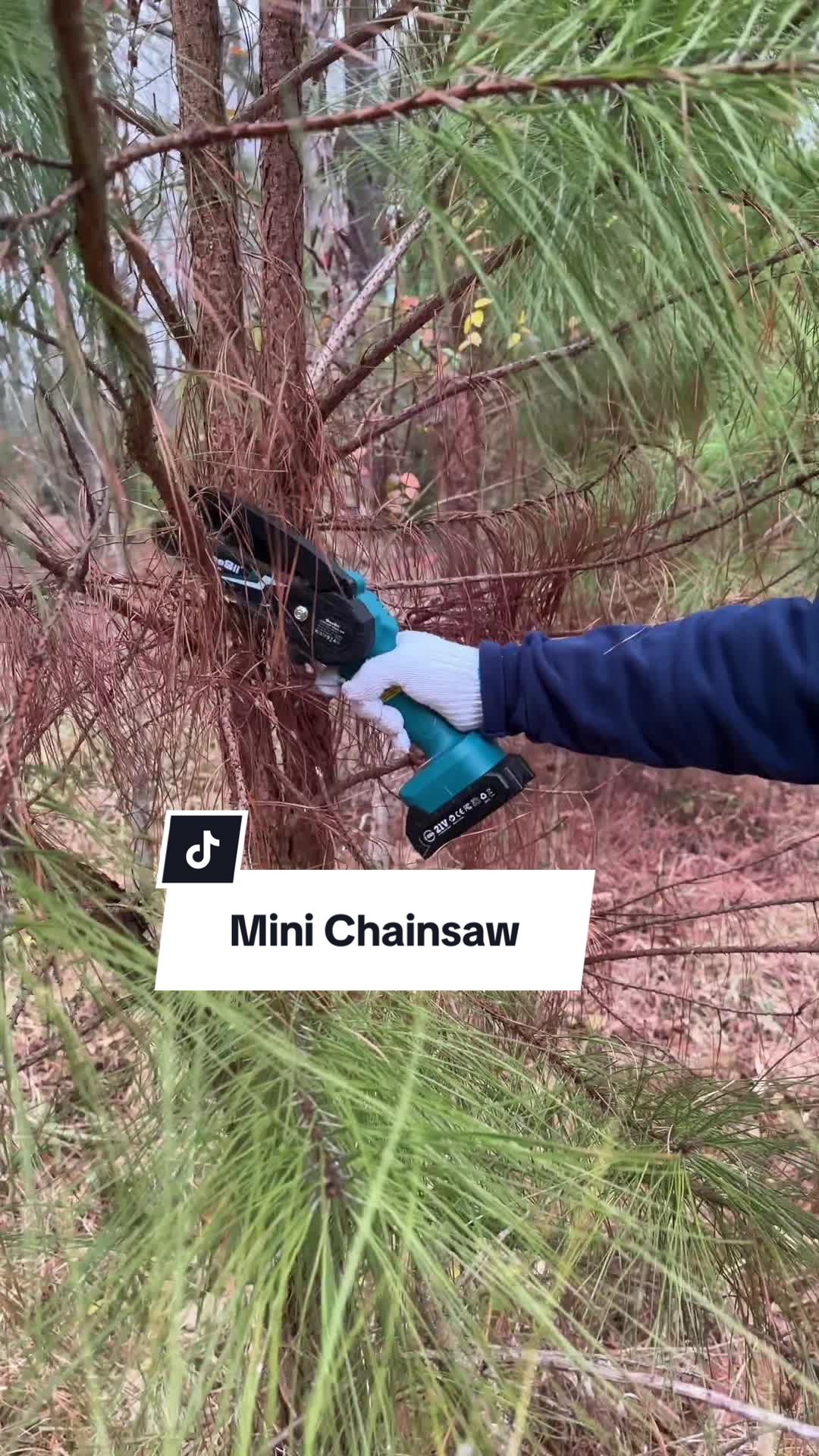 TikTok post by @little_mike_1 for Seesii. Caption reads: [...] #tiktokshopjumpstartsale @SEESII Tools.