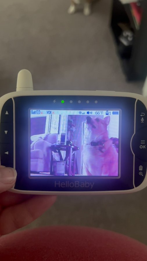 Instagram post by @tiffanyz_journey for HelloBaby. Caption reads: Loveee the @hellobabybrand monitor as my back up....