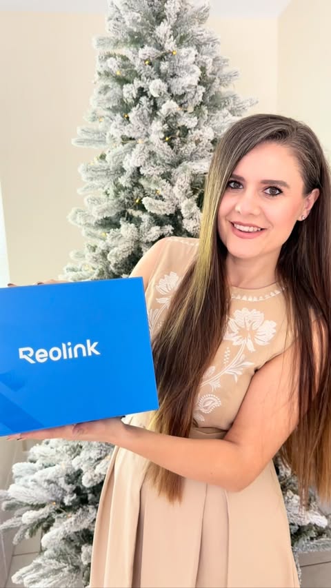 Instagram post by @thesunshinestatemom for Reolink. Caption reads: Christmas season is here — and nothing feels....