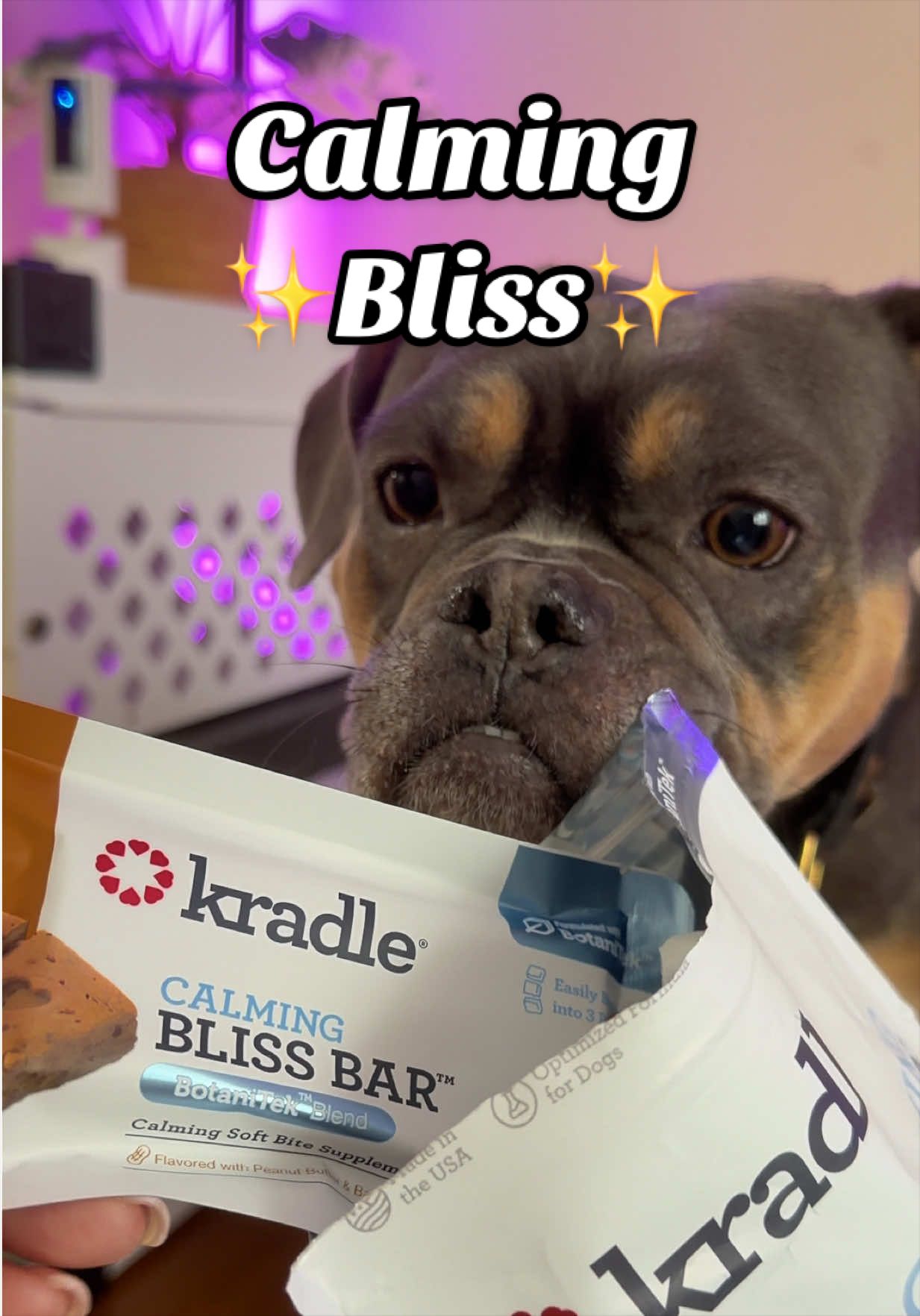 TikTok post by @bigglesworld for Kradle. Caption reads: [...] stress and anxiety run your dog’s life.....