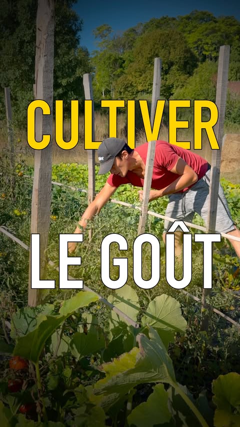 Instagram post by @jigme for Gamm vert. Caption reads: [...] y a tout ce qu’il faut chez Gamm vert 💚.
